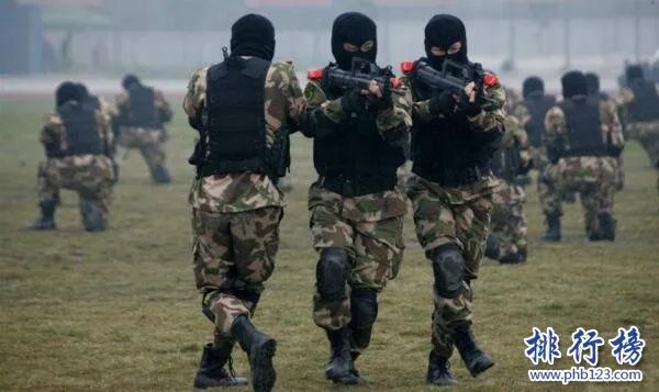 中国十大特种部队排名,雪豹突击队上榜,第三最为隐秘