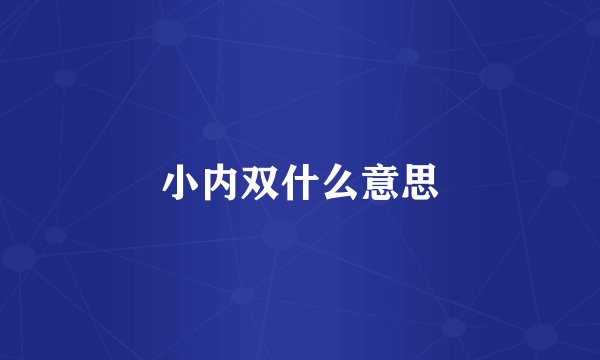 小内双什么意思