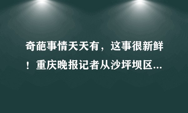 奇葩事情天天有,这事很新鲜!重庆晚报记者从沙坪坝区渝碚路派出所获悉,该区杨公桥一名女子遭遇电信诈骗,被骗走5300元现金,汇款之后又被骗子忽悠,听信骗子荒唐取回钱的方法:让她买整瓶可乐倒进ATM机,导致ATM机受损,经济损失高达6万多元。该女子的做法( )①充分行使了公民的政治权利和自由②违背了权利与义务相统一的原则③违背了个人利益与国家利益相结合的原则④是个人的私事,我们不应指责A.①②B. ①③C. ①④D. ②③